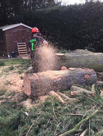 photo of Tree surgeons in Berkshire Tree surgeons in Berkshire